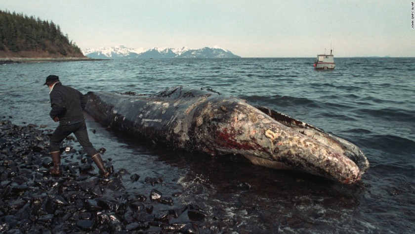 OMFGTRUMP - Exxon Oil Spill